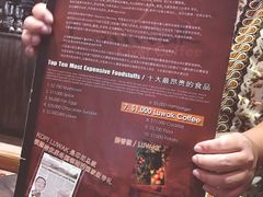 -巴厘岛黄金金兔咖啡工厂