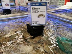 鲜活梭子蟹3只装-盒马X会员店(上海森兰商都店)