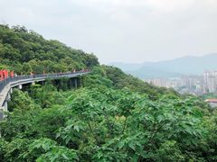 -金鸡山公园
