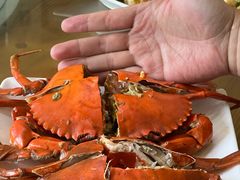 -板桥海鲜广场(文明东店)