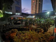 -山菌美食苑(振兴路店)