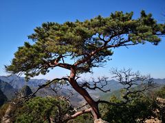 -大连天门山国家森林公园