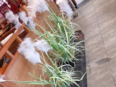 -鸽子窝(黄村店)