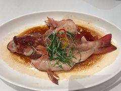 东星斑-北京厨房(SKP店)