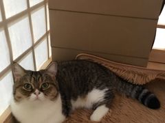 -小时光咖啡馆(开森度假森林店)