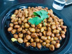 老醋花生-新乡杨记红焖羊肉火锅(天坛南门店)