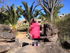 -世界恐龙谷景区