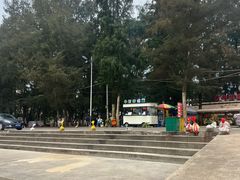 -万尾金滩