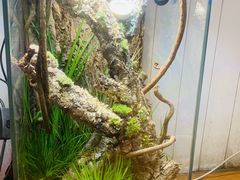 -Rabbit Cafe私房西餐甜点咖啡(栖霞路店)