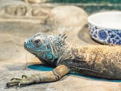 -上海大自然野生昆虫馆(东方明珠·爬宠昆虫探索中心)