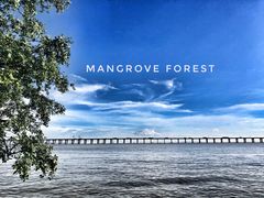 -宝安西湾红树林湿地公园