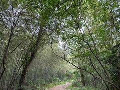 -杭州半山国家森林公园