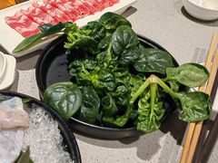 -海底捞火锅(吴中路店)