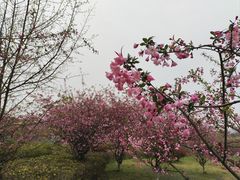 -南京航空航天大学(将军路校区)