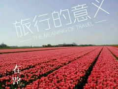 -库肯霍夫公园