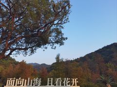 -云溪植物园