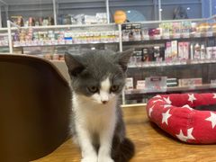 -狗道宠物(常熟印象城店)