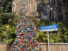 -西双版纳原始森林公园