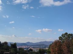 -泉州海丝野生动物世界