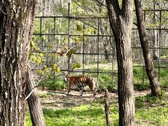 -哈尔滨北方森林动物园