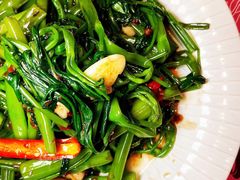 -新越盏·东南亚料理(捷登都会店)