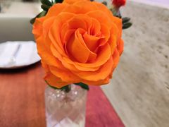 -ELI FALAFEL Lebanese&Mediterranean黎巴嫩美食(富城路店)