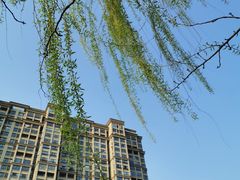 -尚贤河湿地