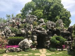 -上海鲜花港