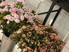 -二酉书店TOYOU BOOKS