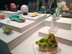 -湖南省地质博物馆