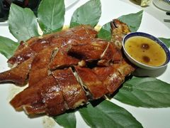 -梧桐餐厅(泉城路店)