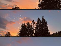 -武陵山森林公园