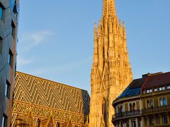 -斯蒂芬主教座堂(Stephansdom)