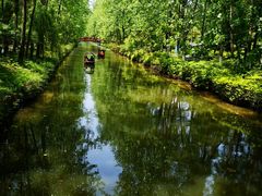 -合肥滨湖国家森林公园