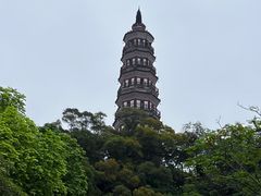 -顺峰山公园