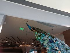 -雀蓝川菜(滨湖万象汇店)