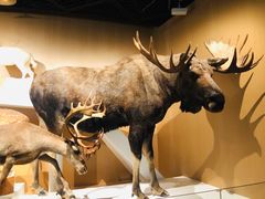 -陕西自然博物馆