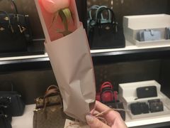 七夕会员礼-COACH蔻驰(赛特奥特莱斯店)