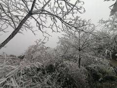 -宝鼎风景区