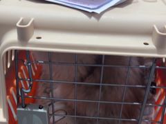 -派特宠物医院(圆融广场店)