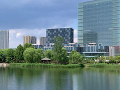 -大兴滨河森林公园