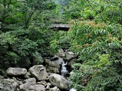 -湖州龙王山景区
