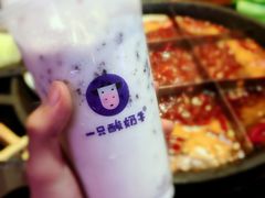 -一只酸奶牛(锦城万达天虹店)