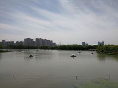 -昆山城市生态森林公园