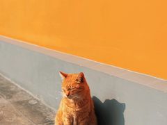 -龙华寺