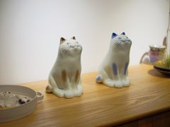 -猫里有甜