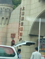 -上海美兰湖妇产科医院