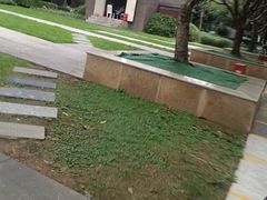 -巢爷老味(东方红店)