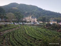 -杨家堂村
