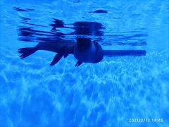 -多彩贵州城极地海洋世界